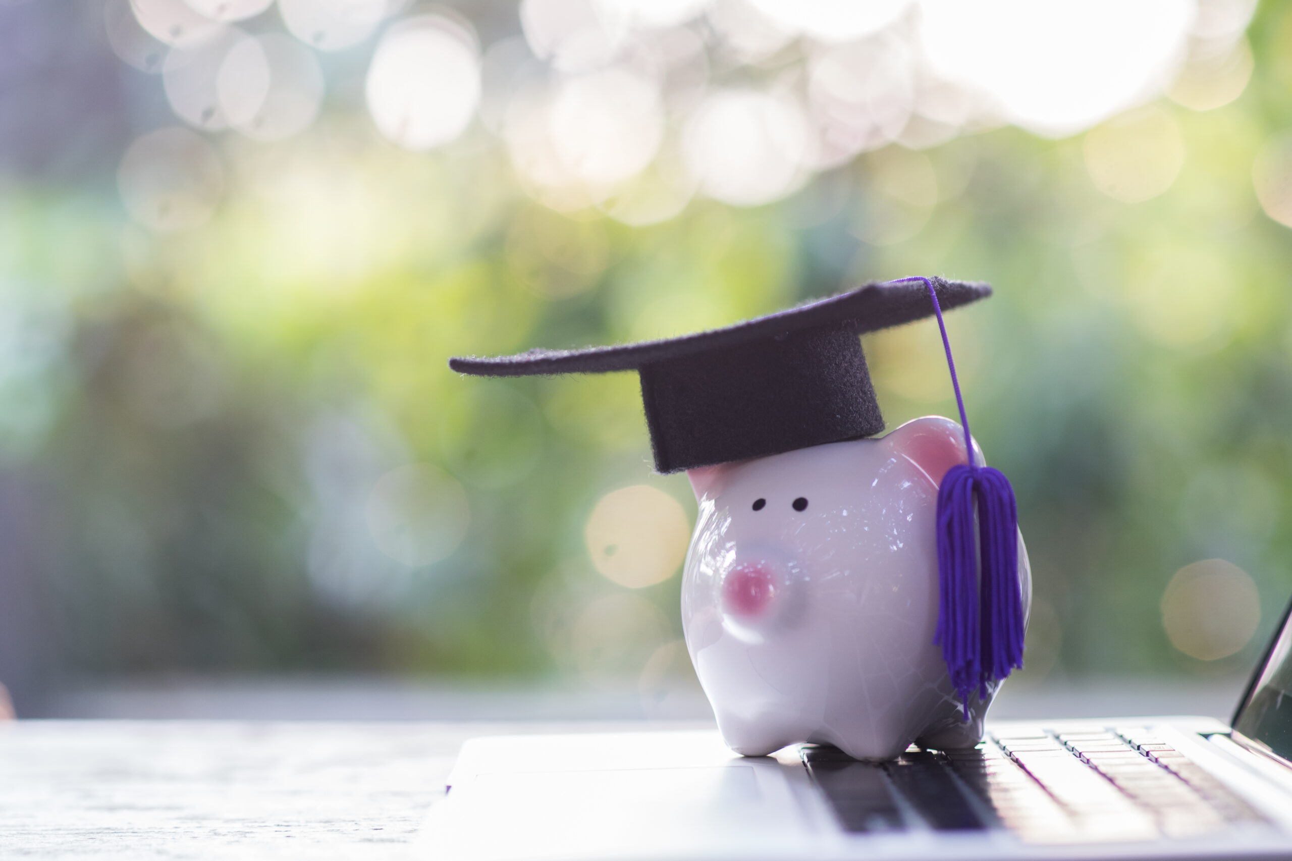 Student Debt