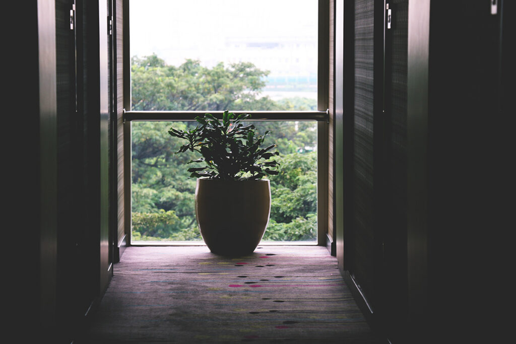 A super window of opportunity