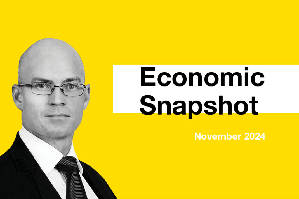 Economic Snapshot – November 2024 Update