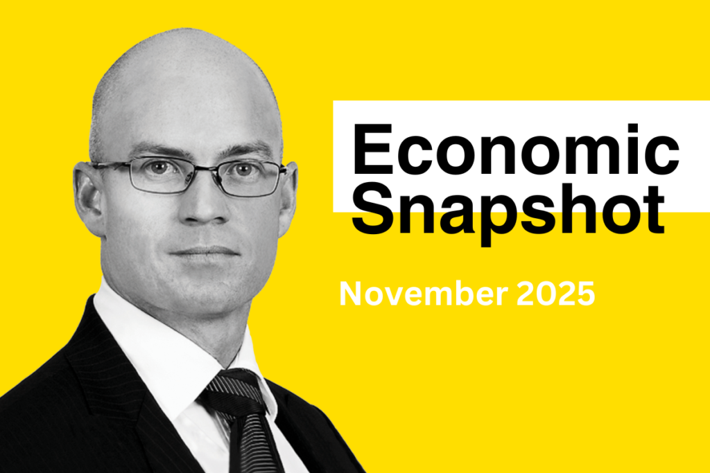 Economic Snapshot – November 2025 Update